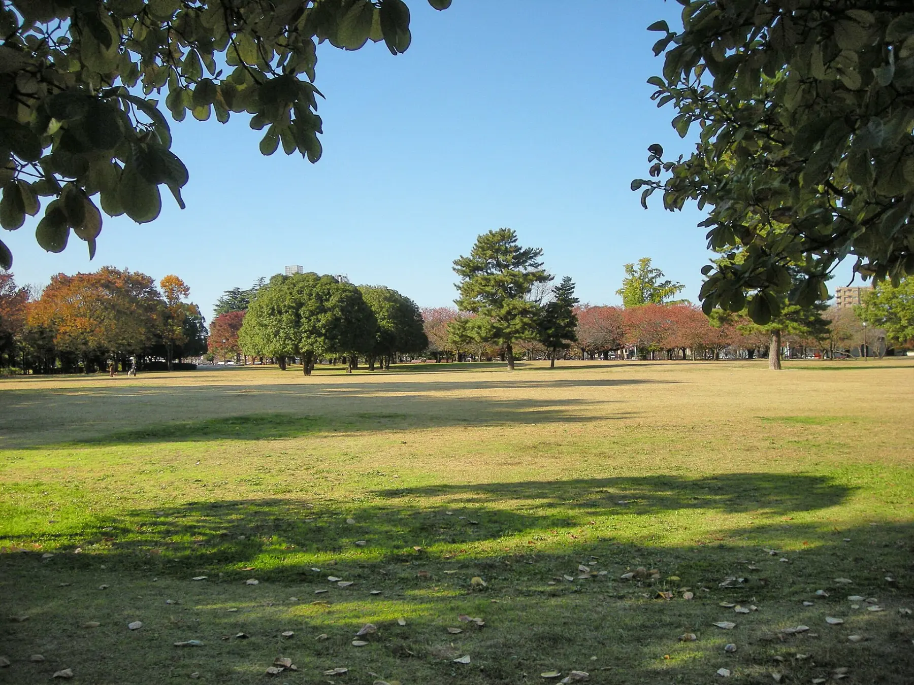 各務原市民公園の風景