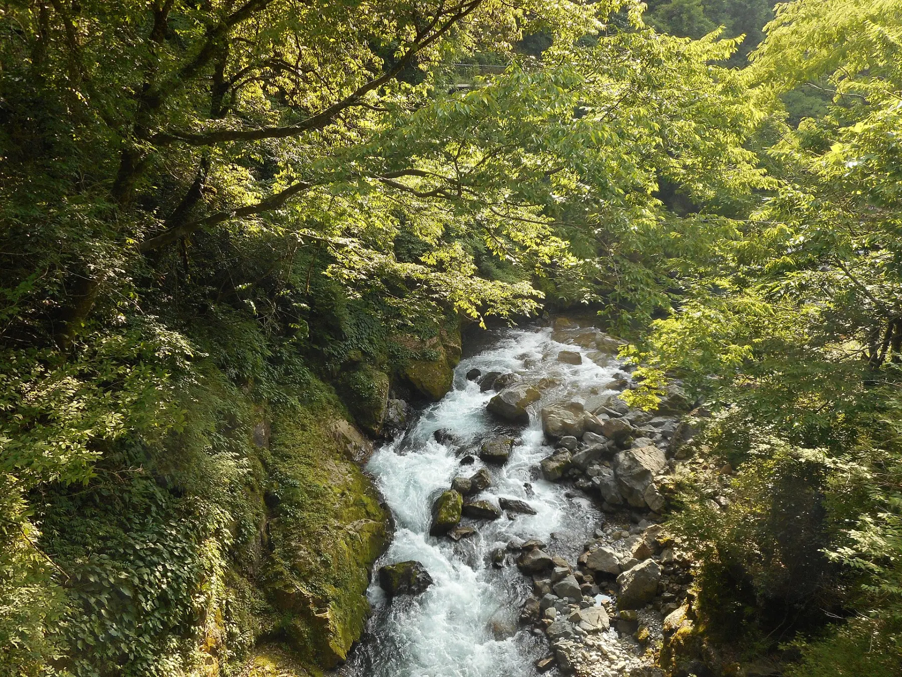 山県市を流れる神崎川の風景